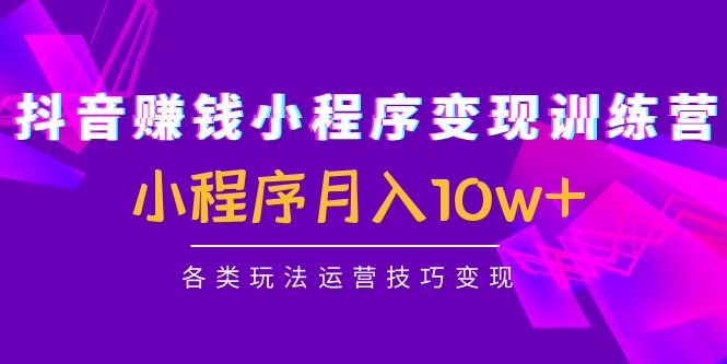 抖音赚钱小程序变现训练营：小程序月入10w+各类玩法运营技巧变现-瀚海资源库