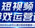 短视频游戏赚钱特训营，0门槛小白也可以操作，日入1000+-瀚海资源库