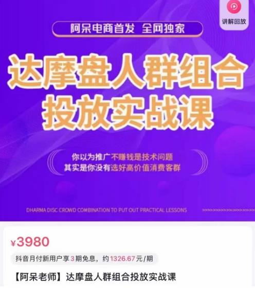 阿呆电商·达摩盘人群组合投放实战课，你以为推广不赚钱是技术问题，其实是你没有选好高价值消费客群-瀚海资源库
