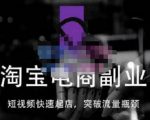 蓝Sir派·淘宝短视频快速起店，替代传统搜索方式，学会做一个不一样的淘宝店-瀚海资源库