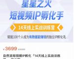 瑶瑶·自然流短视频IP孵化第二期，14天线上实战训练营，赋能100个人成为有数据能赚钱的独立IP孵化手-瀚海资源库