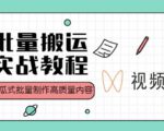 视频号批量搬运实战操作运营赚钱教程,傻瓜式批量制作高质量内容【附视频教程+PPT】-瀚海资源库