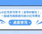 厦九九小红书学习年卡（全年IP孵化），沉浸式学习，一起成为有影响力的小红书博主-瀚海资源库
