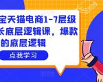 大圣淘宝天猫电商1-7层级盈利增长底层逻辑课，爆款的底层逻辑-瀚海资源库