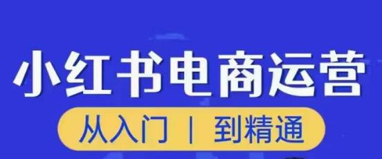 顽石小红书电商高阶运营课程，从入门到精通，玩法流程持续更新-瀚海资源库