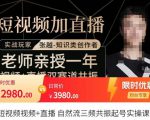 张越·短视频+直播，自然流三频共振起号实操课，​短视频所有流量玩法讲解-瀚海资源库
