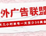 外面收费1980的最新国外LEAD广告联盟搬砖项目,单号一天至少30美金【详细玩法教程】-瀚海资源库