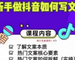 新手做抖音如何写文案，手把手实操如何拆解热门文案-瀚海资源库