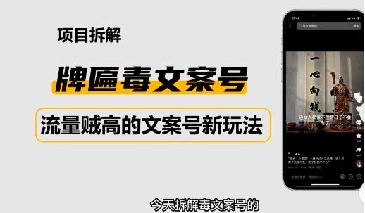 2023抖音快手毒文案新玩法，牌匾文案号，起号快易变现-瀚海资源库