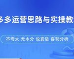 拼多多店铺运营思路与实操教程,快速学会拼多多开店和运营,少踩坑,多盈利-瀚海资源库