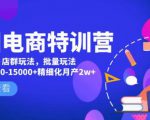 美团电商特训营：美团·店群玩法，无脑铺货月产出6000-15000+精细化月产2w+-瀚海资源库