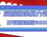 豆瓣精准暴力引流，日引精准粉500+【12课时】-瀚海资源库