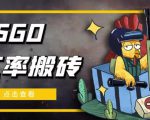 外面9800的CSGO汇率搬砖项目,一个月轻松赚几千【选品软件+详细教程】-瀚海资源库