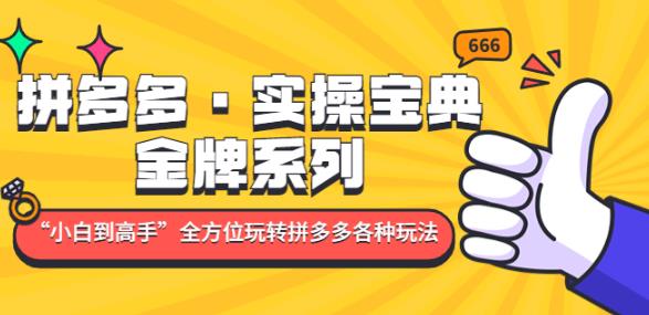 拼多多·实操宝典：金牌系列“小白到高手”带你全方位玩转拼多多各种玩法-瀚海资源库