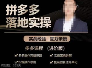 拼多多实战篇·落地实操：多多操作完整思路+实操案例讲解+拆解操作思路+复杂的算法简单化-瀚海资源库