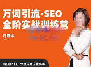 许茹冰·万词引流-SEO全阶实战训练营,0基础入门,快速成为流量高手-瀚海资源库