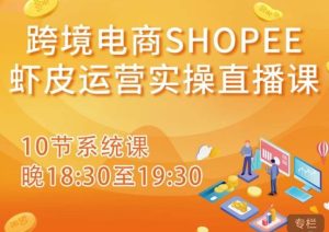 跨境电商Shopee虾皮运营实操直播课，从零开始学，入门到精通（10节系统课）-瀚海资源库
