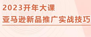 2023亚马逊新品推广实战技巧，线下百万美金课程的精简版，简单粗暴可复制，实操性强的推广手段-瀚海资源库