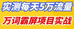 百度万词霸屏实操项目引流课，30天霸屏10万关键词-瀚海资源库