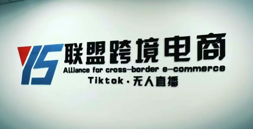 YS联盟·Tiktok无人直播，不出镜不剪辑不拍摄不发货无售后的跨境短视频躺赚玩法-瀚海资源库