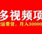 多多带货视频快速50爆款拿带货资格，搬运带货，月入30000【全套脚本+详细玩法】-瀚海资源库