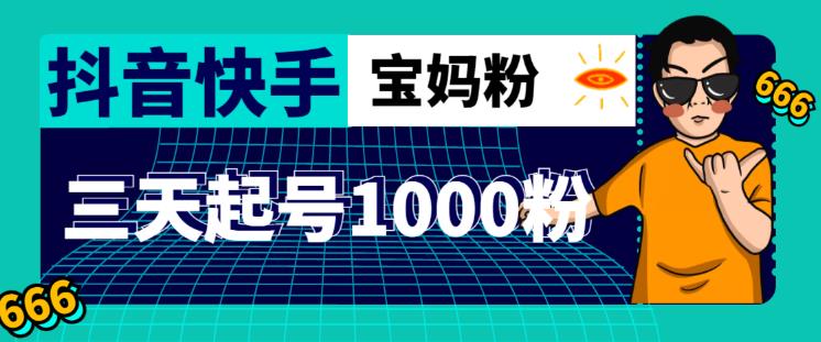 抖音快手三天起号涨粉1000宝妈粉丝的核心方法【详细玩法教程】-瀚海资源库