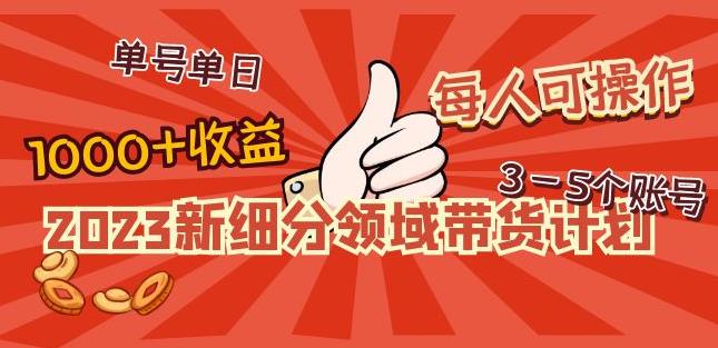 2023新细分领域带货计划：单号单日1000+收益不难，每人可操作3-5个账号-瀚海资源库
