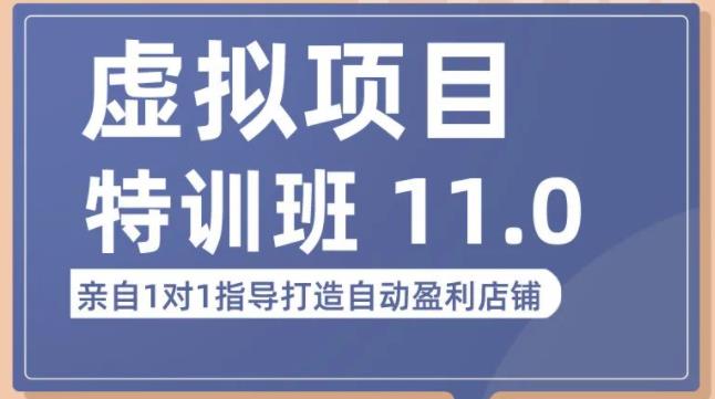 陆明明·虚拟项目特训班（10.0+11.0），0成本获取虚拟素材，0基础打造自动盈利店铺-瀚海资源库