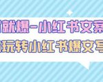 一写就爆-小红书文案课:带你玩转小红收爆文写作(45节课)-瀚海资源库