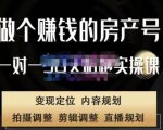 刘广标·同城房产号线上陪跑课,拍摄、剪辑、写文案、直播,做一个具有潜力价值的房产号-瀚海资源库