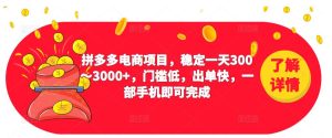 2023拼多多电商项目,稳定一天300~3000+,门槛低,出单快,一部手机即可完成-瀚海资源库
