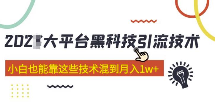 大平台黑科技引流技术，小白也能靠这些技术混到月入1w+(2022年的课程）-瀚海资源库