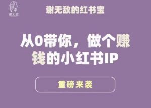谢无敌·小红书运营大宝典，从0带你做个赚钱的小红书IP-瀚海资源库
