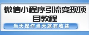 微信小程序引流变现项目教程,当天操作当天就有收益,变现不再是难事-瀚海资源库