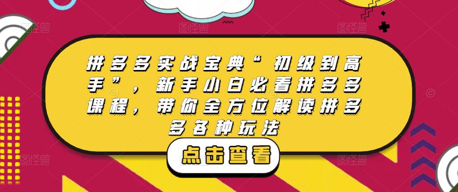 拼多多实战宝典“初级到高手”，新手小白必看拼多多课程，带你全方位解读拼多多各种玩法-瀚海资源库