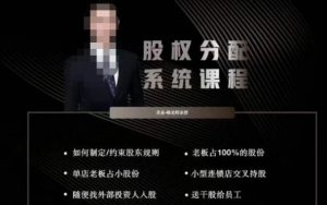 韩老师聊美业-美业股权分配系统课程，如何制定约束股东规则+老板占100%的股份+单店老板占小股份等-瀚海资源库