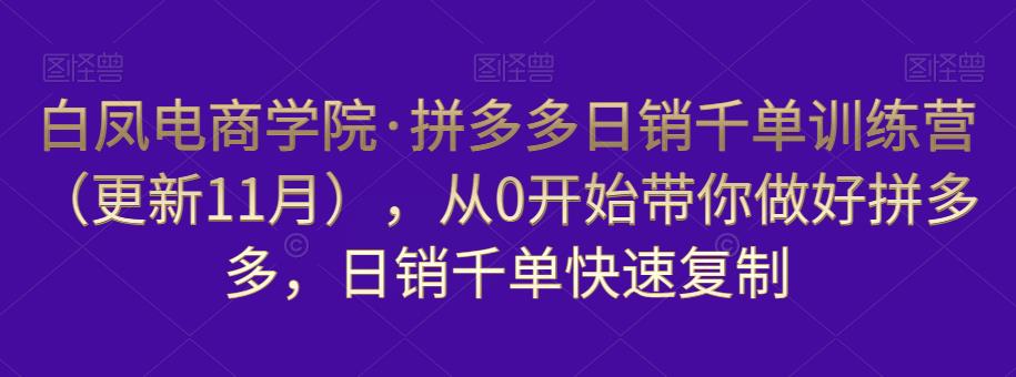 白凤电商学院·拼多多日销千单训练营，从0开始带你做好拼多多，日销千单快速复制（更新知2023年3月）-瀚海资源库