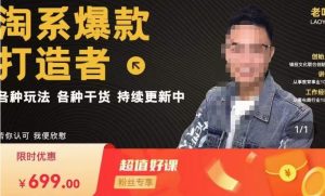 锋投老叶全店动销,淘系干货汇总,各种玩法,淘系爆款打造者-瀚海资源库