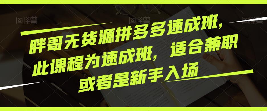胖哥无货源拼多多速成班，此课程为速成班，适合兼职或者是新手入场-瀚海资源库