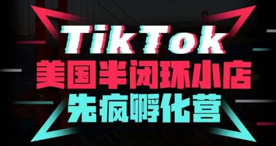 疯人院·TikTok美国半闭环小店孵化营，抢占TikTok美国蓝海市场，开店、运营、带货、投流全实操-瀚海资源库