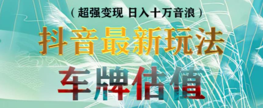 抖音最新无人直播变现直播车牌估值玩法项目，轻松日赚几百+【详细玩法教程】-瀚海资源库