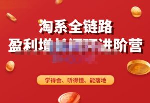 淘系全链路盈利增长闭环进阶营,融合全店动销,学得会、听得懂、能落地!-瀚海资源库