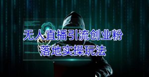 外面收费3980的无人直播引流创业粉落地实操玩法,单日引100+精准创业粉-瀚海资源库