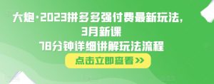 大炮·2023拼多多强付费最新玩法，3月新课​78分钟详细讲解玩法流程-瀚海资源库