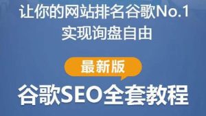 谷歌SEO实战教程：如何让你的网站在谷歌排名第一，内容从入门到高阶，适合个人及团队-瀚海资源库
