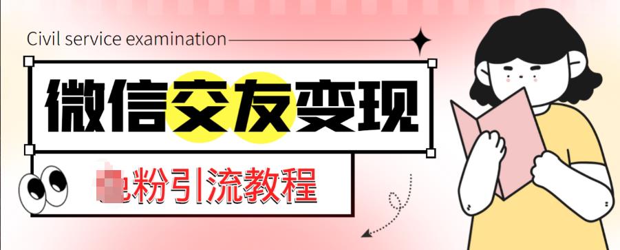 微信交友变现项目，吸引全网LSP男粉精准变现，小白也能轻松上手，日入500+-瀚海资源库
