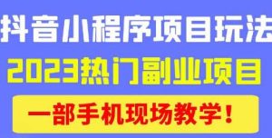 抖音小程序9.0新技巧，2023热门副业项目，动动手指轻松变现-瀚海资源库