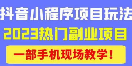 抖音小程序9.0新技巧，2023热门副业项目，动动手指轻松变现-瀚海资源库
