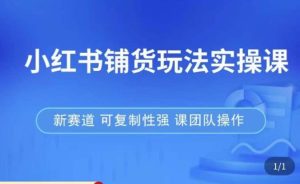小红书铺货玩法实操课,流量大,竞争小,非常好做,新赛道,可复制性强,可团队操作-瀚海资源库