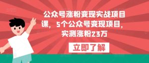 公众号涨粉变现实战项目课，5个公众号变现项目，实测涨粉23万-瀚海资源库